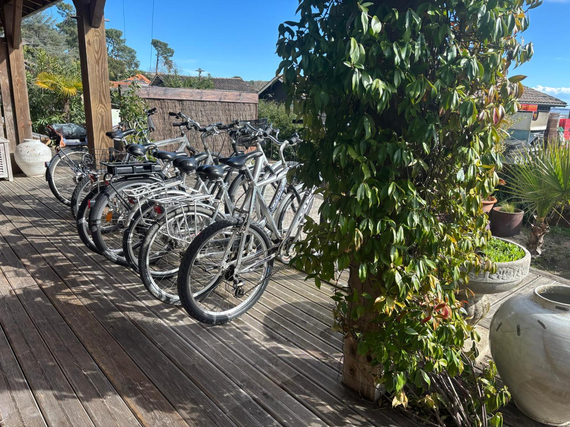 Chambre D'Hotes - Village Petit Piquey Lège-Cap-Ferret 外观 照片